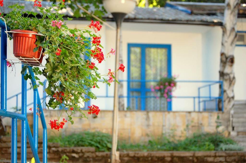 Комплекс Белите Къщи Shtarkelovo Gnezdo Extérieur photo