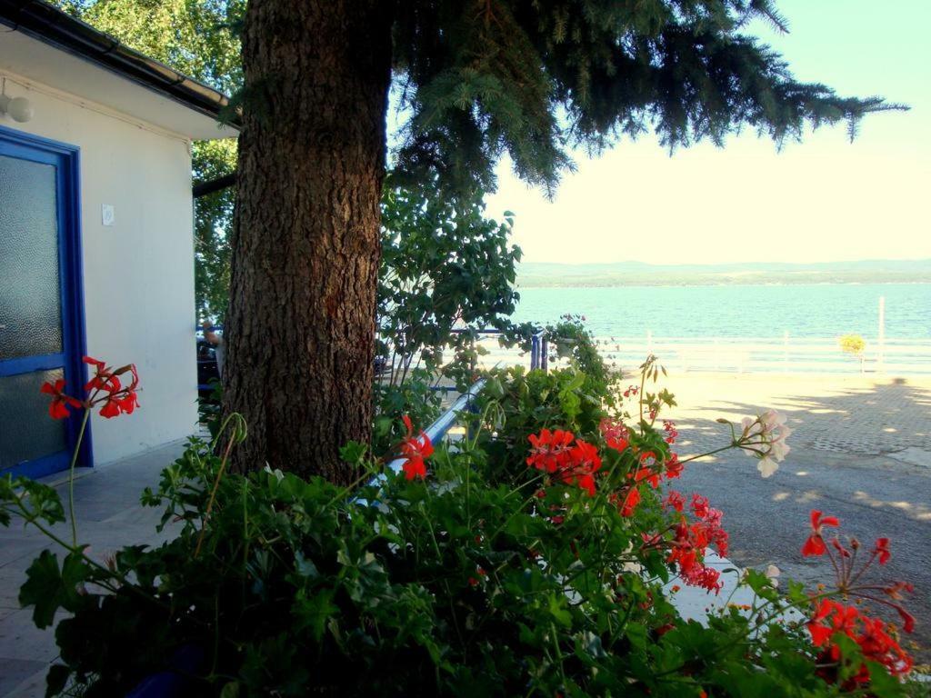 Комплекс Белите Къщи Shtarkelovo Gnezdo Extérieur photo