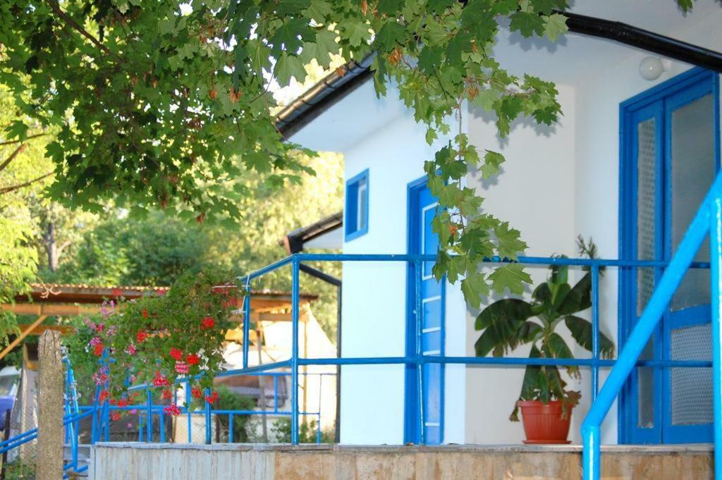 Комплекс Белите Къщи Shtarkelovo Gnezdo Extérieur photo