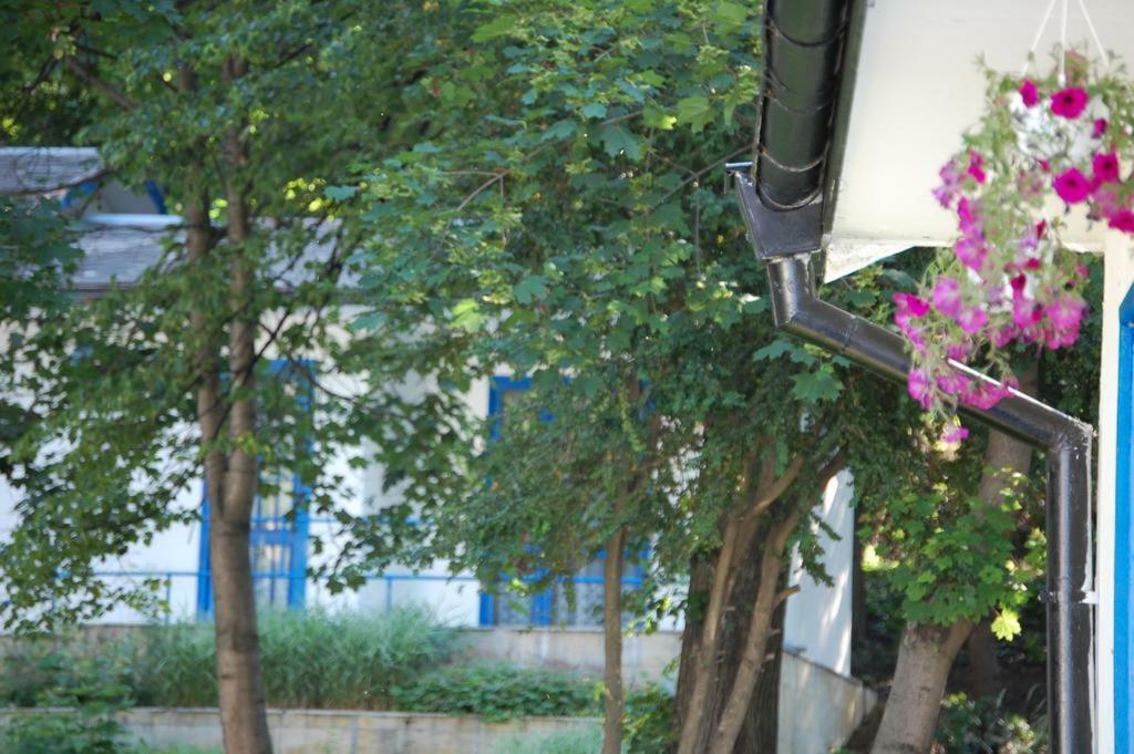 Комплекс Белите Къщи Shtarkelovo Gnezdo Extérieur photo